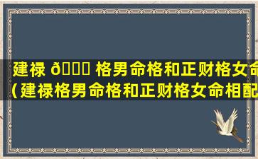 建禄 🐋 格男命格和正财格女命（建禄格男命格和正财格女命相配吗）